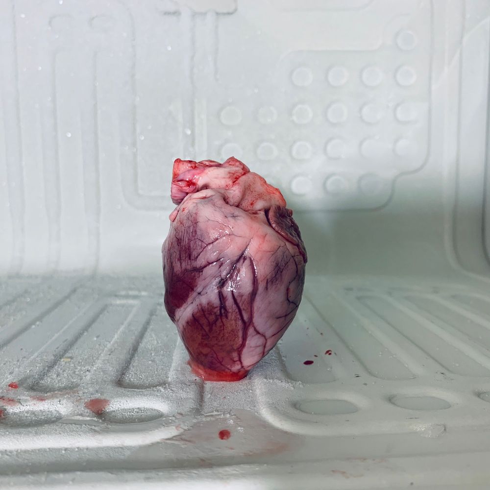 Heart Back in the Freezer